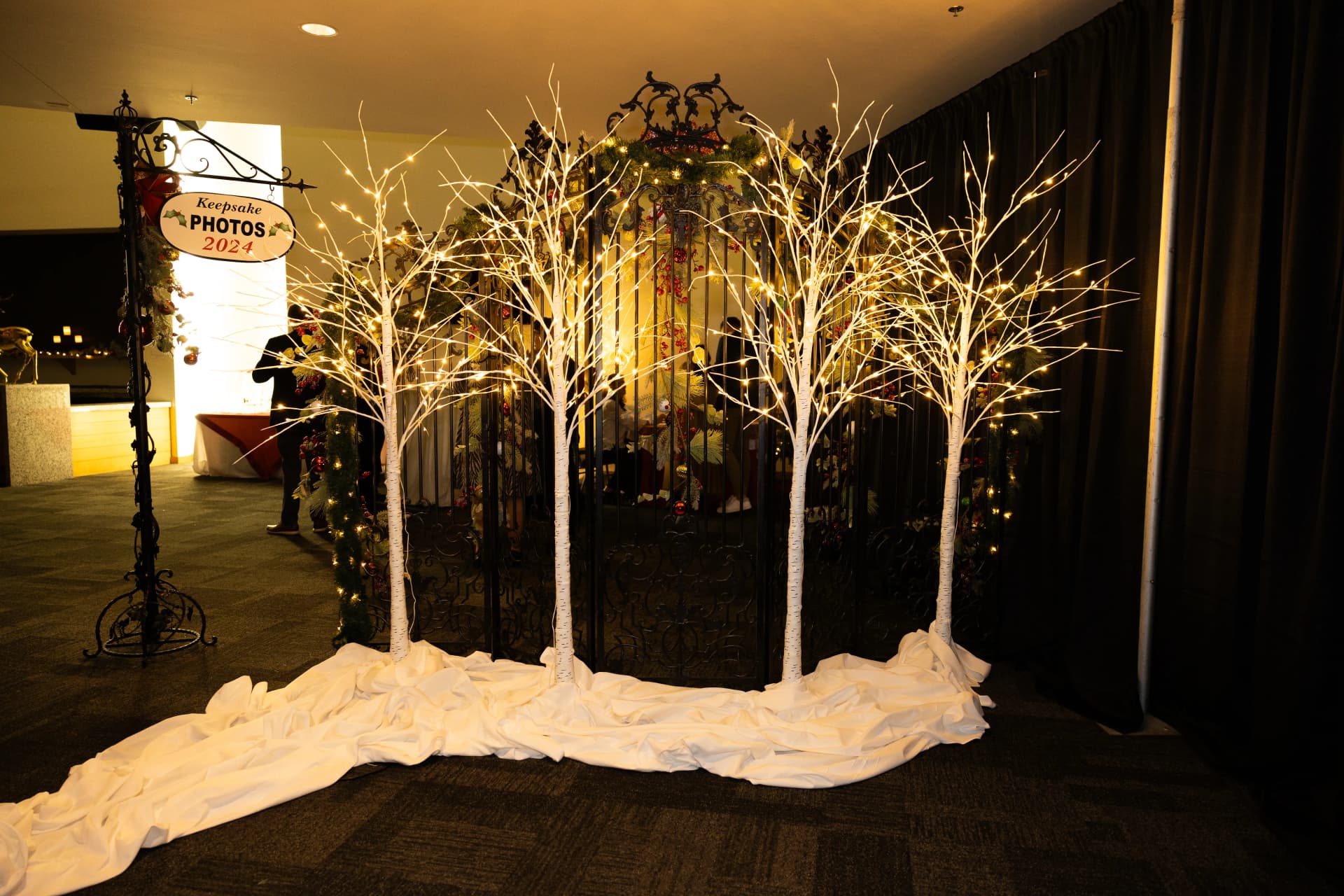 Birch Tree Electric Lights