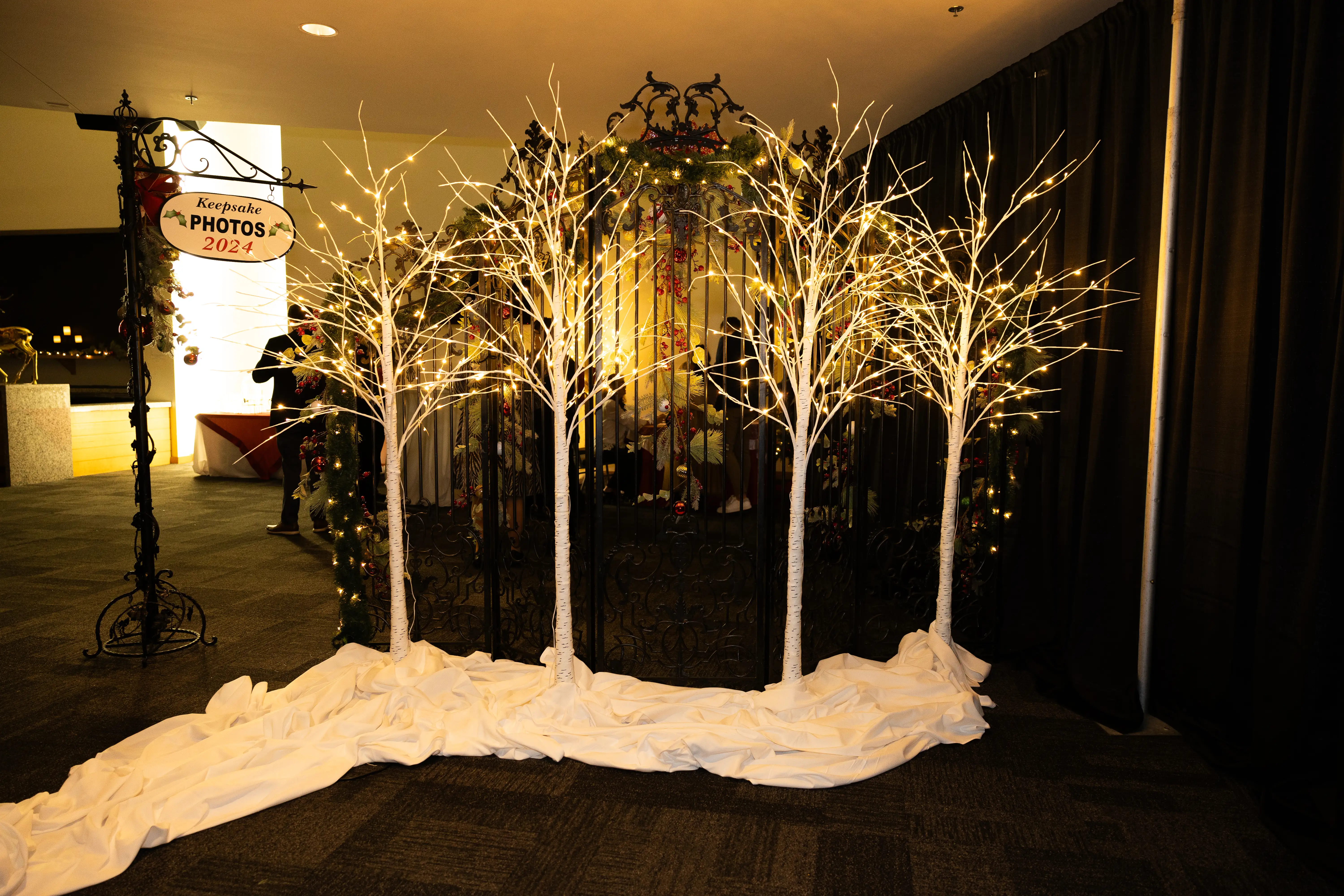 Birch Tree Electric Lights