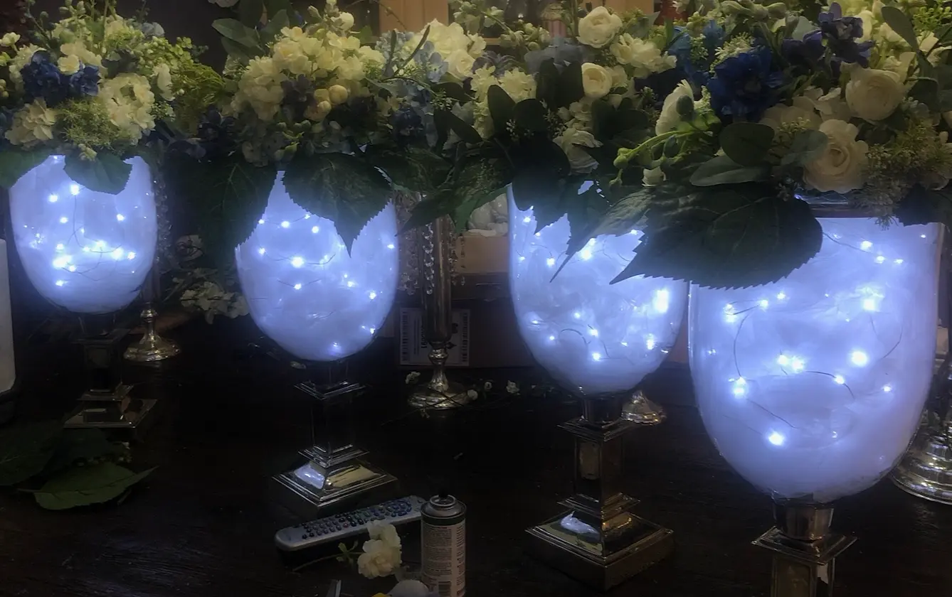 Fairy Lights (Copper Wire, 7 ft, 18 Soft White LEDs, w/Remote & Batteries)